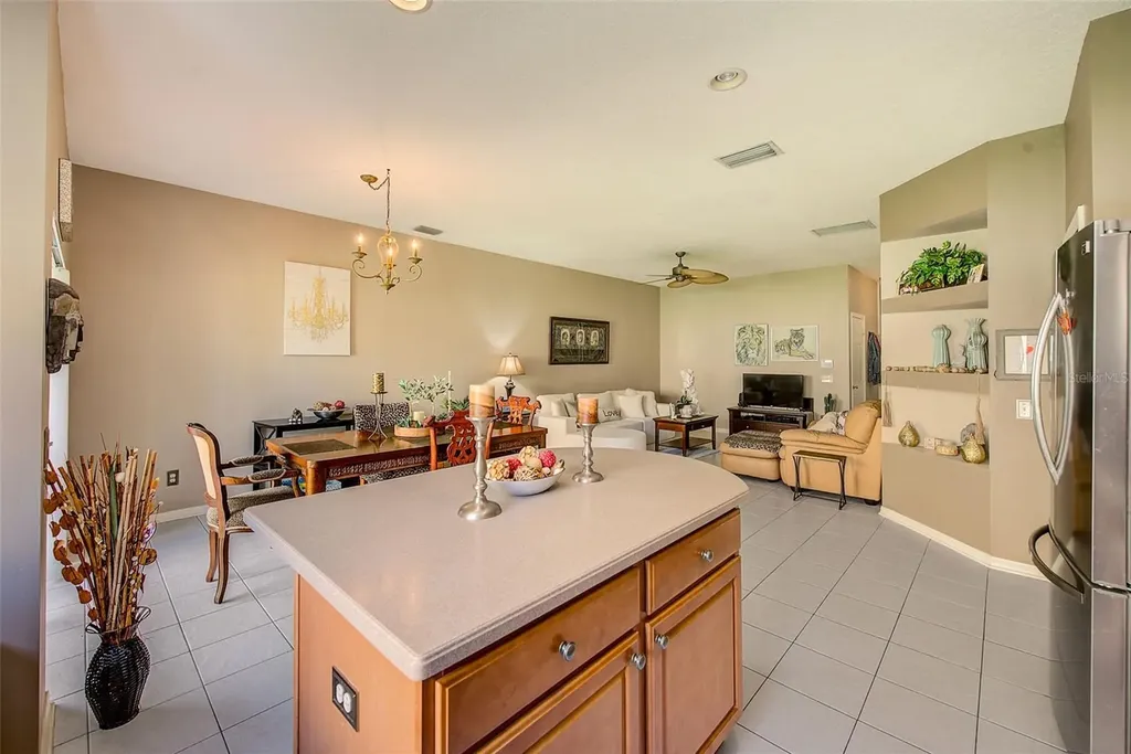 2923 Lochcarron Drive Land O Lakes FL 34638