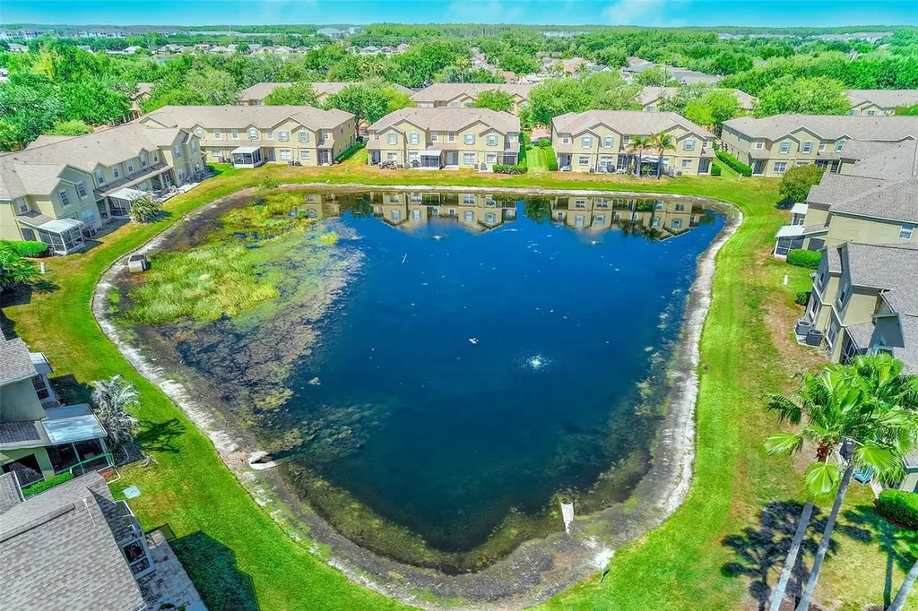 2923 Lochcarron Drive Land O Lakes FL 34638