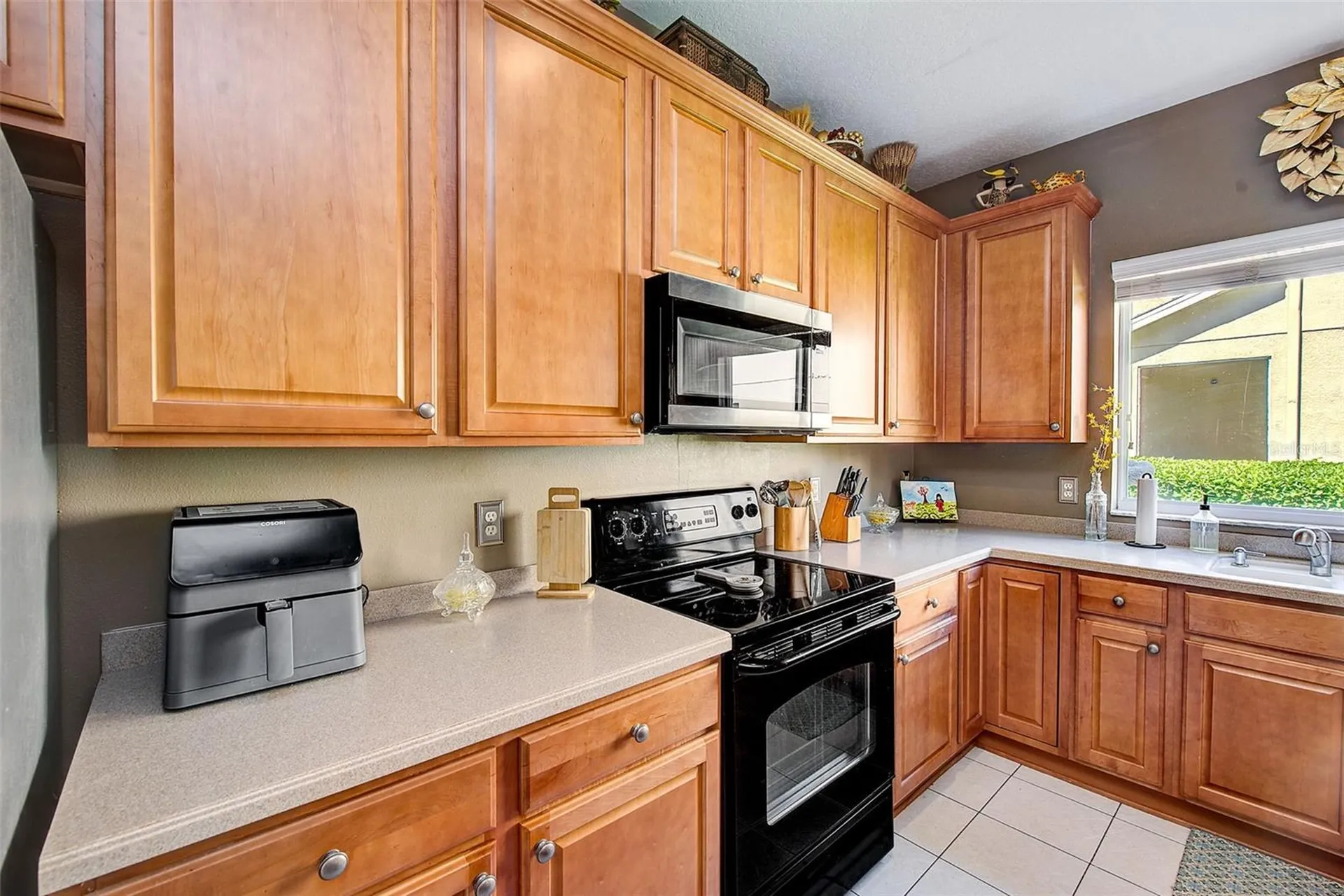 2923 Lochcarron Drive Land O Lakes FL 34638