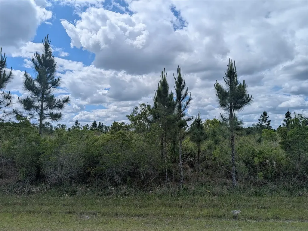 Althea Drive Indian Lake Estates FL 33855