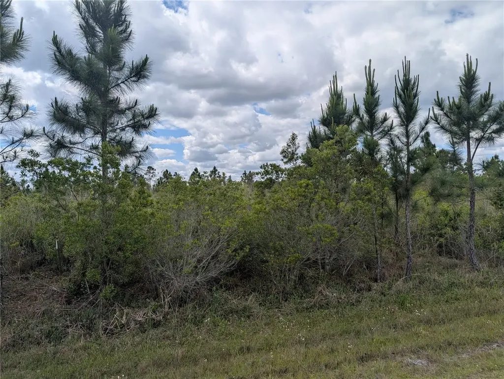 Althea Drive Indian Lake Estates FL 33855