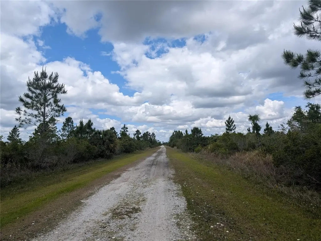 Althea Drive Indian Lake Estates FL 33855