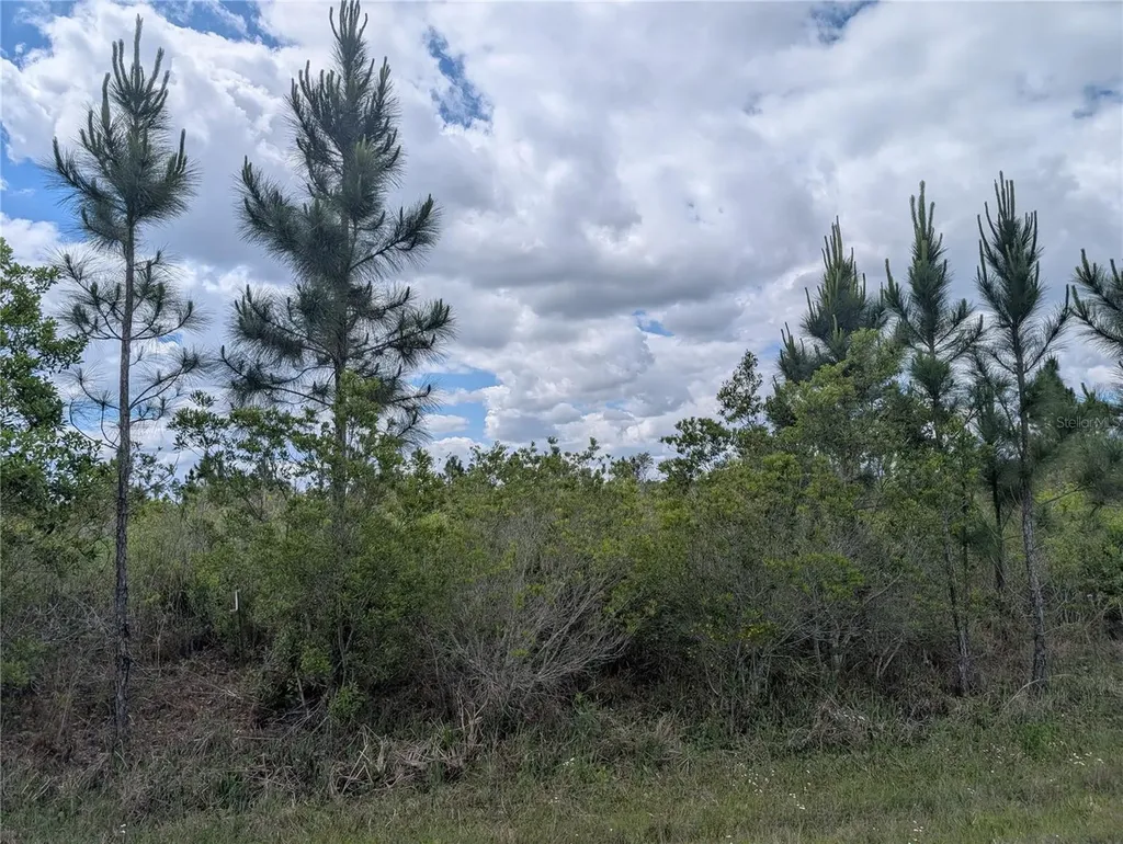 Althea Drive Indian Lake Estates FL 33855
