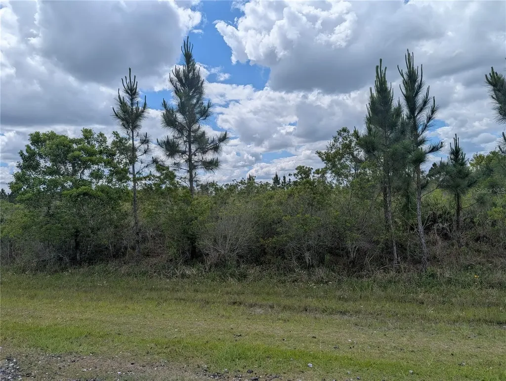 Althea Drive Indian Lake Estates FL 33855