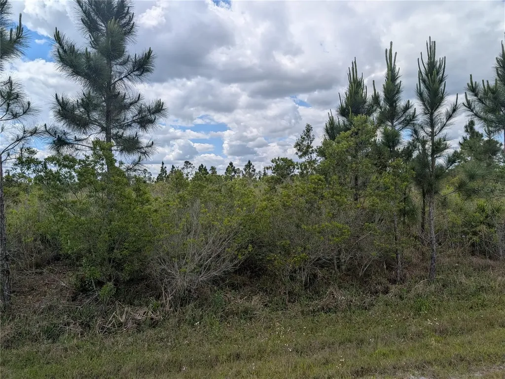Althea Drive Indian Lake Estates FL 33855