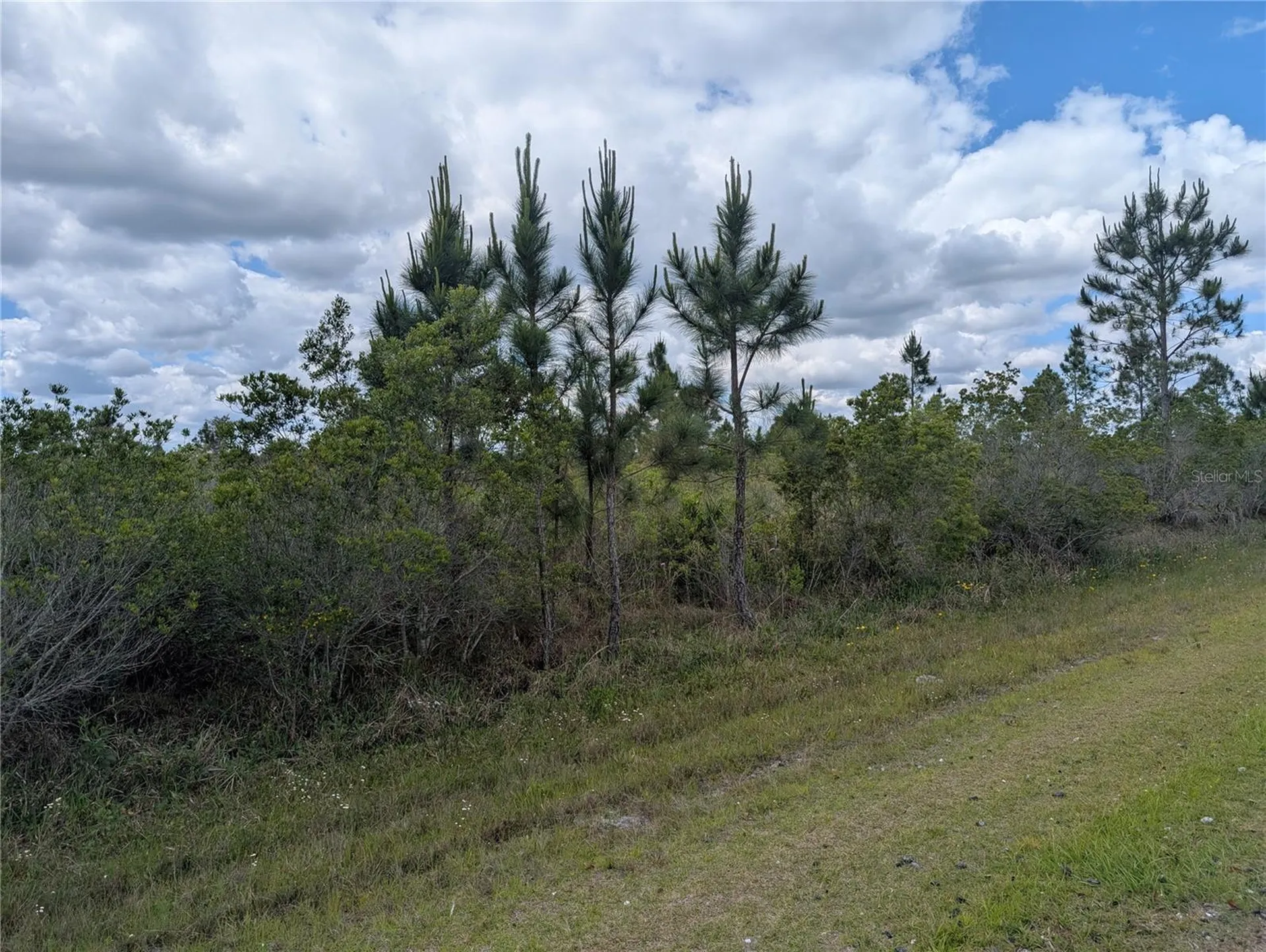 Althea Drive Indian Lake Estates FL 33855