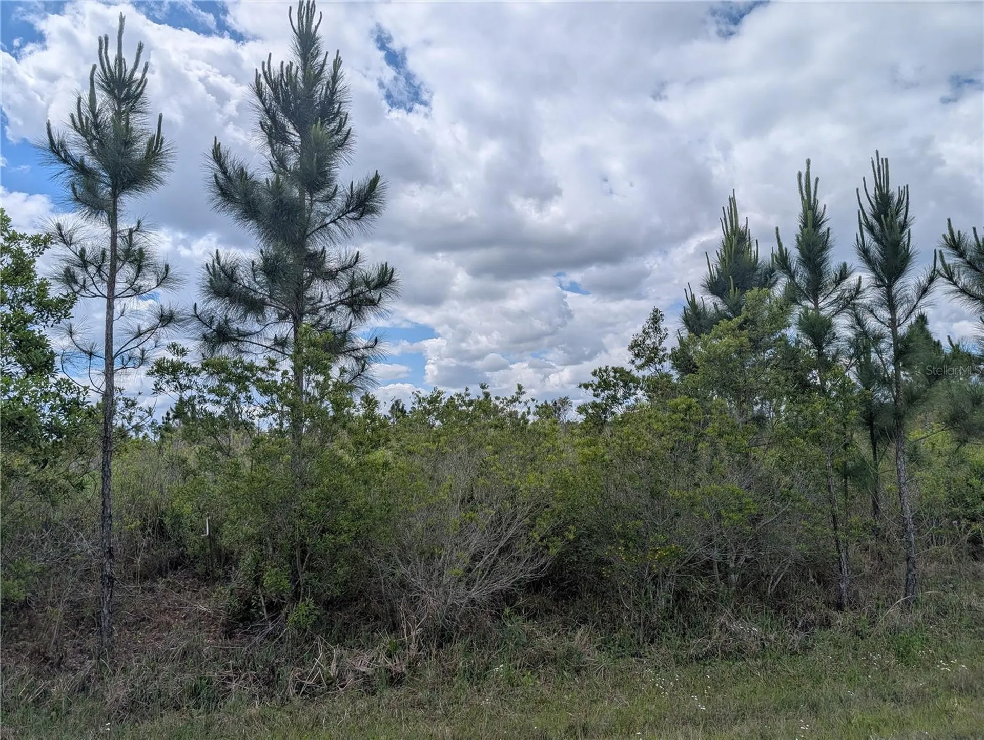 Althea Drive Indian Lake Estates FL 33855