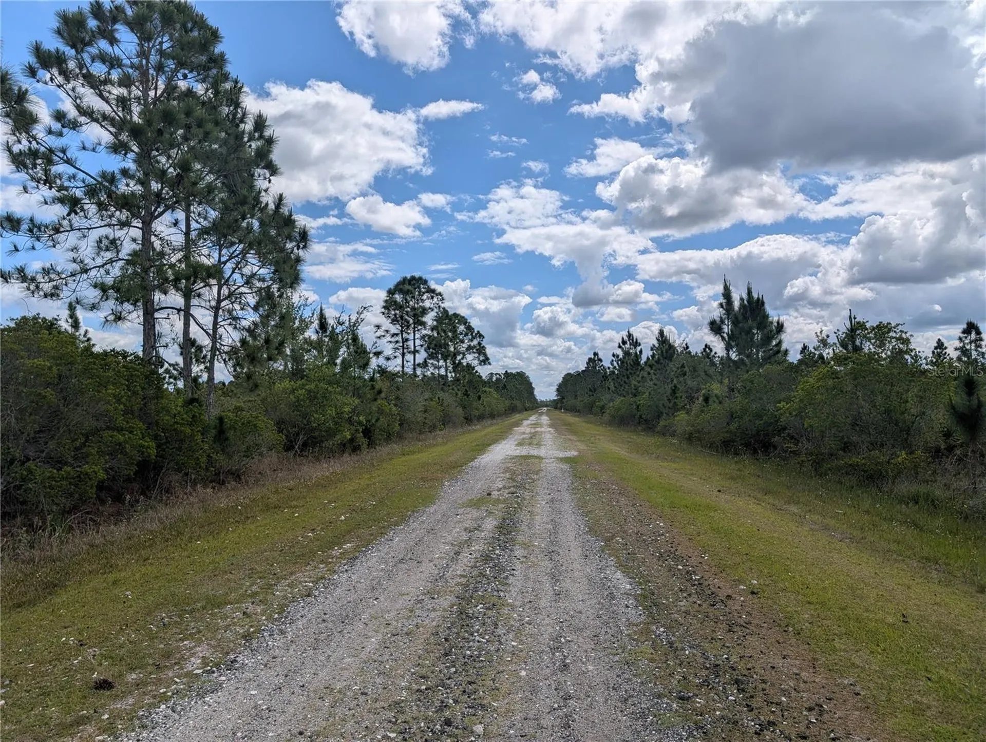 Althea Drive Indian Lake Estates FL 33855