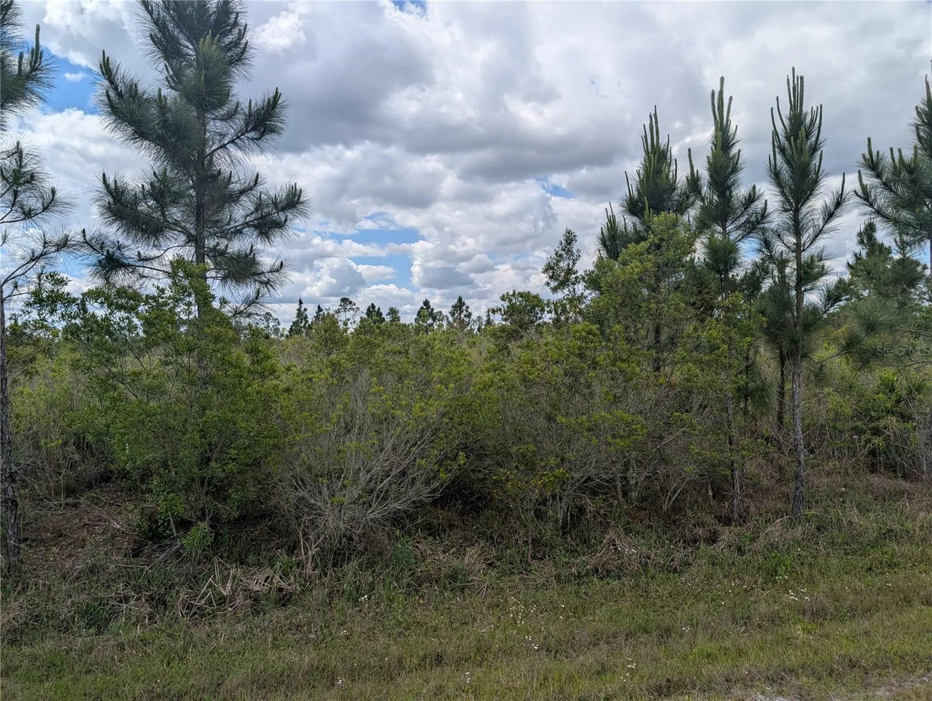 Althea Drive Indian Lake Estates FL 33855