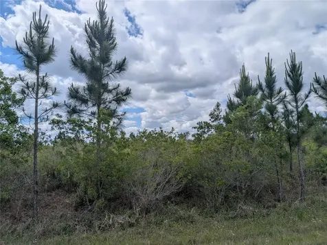 Althea Drive Indian Lake Estates FL 33855
