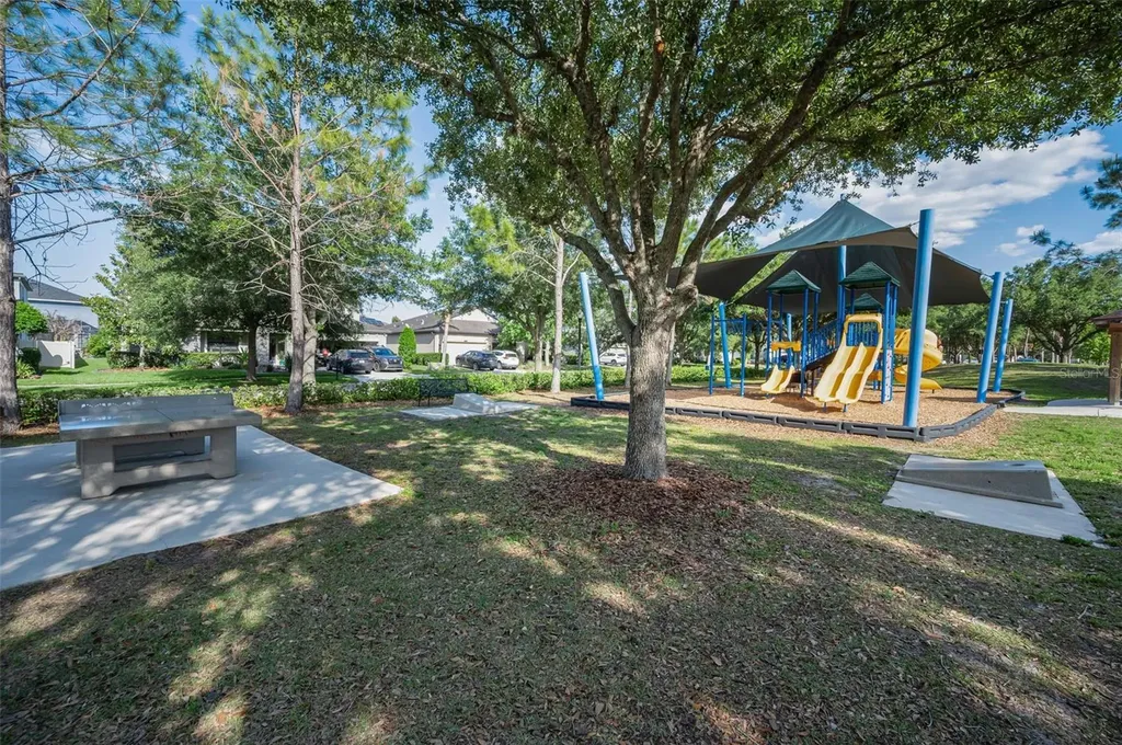 8449 Bluevine Sky Drive Land O Lakes FL 34637