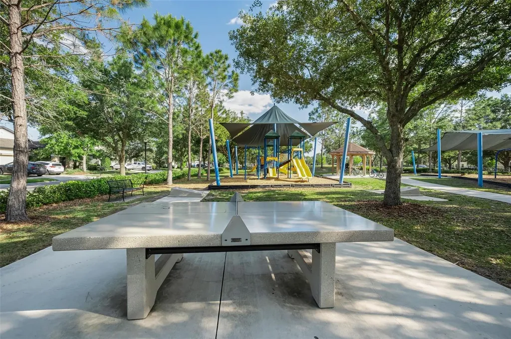 8449 Bluevine Sky Drive Land O Lakes FL 34637