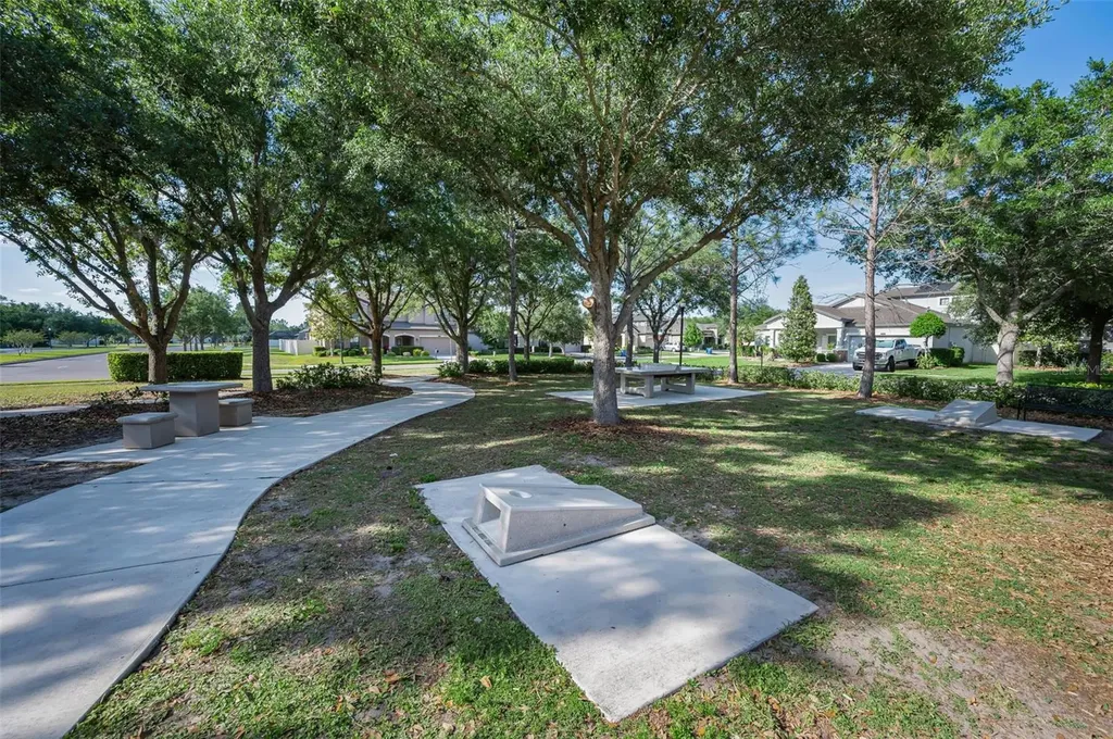 8449 Bluevine Sky Drive Land O Lakes FL 34637