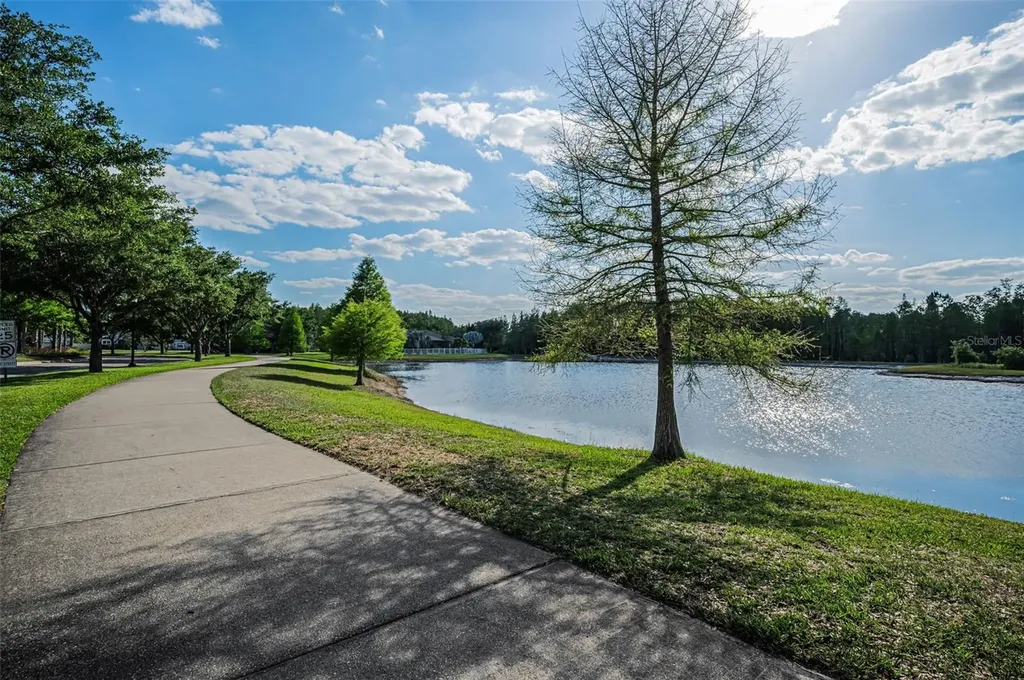 8449 Bluevine Sky Drive Land O Lakes FL 34637