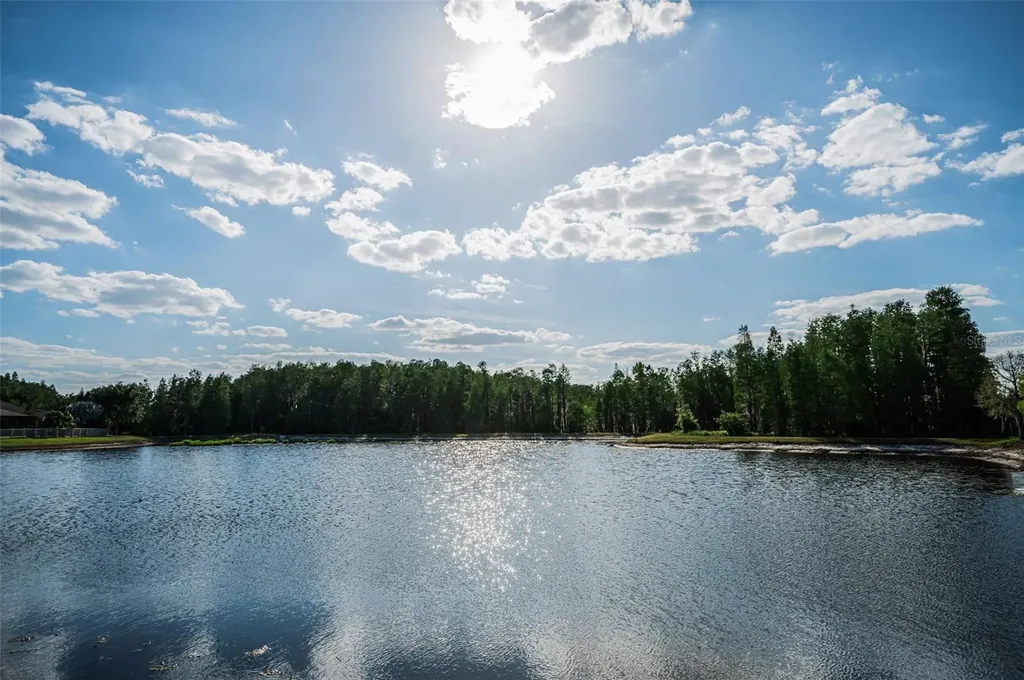 8449 Bluevine Sky Drive Land O Lakes FL 34637