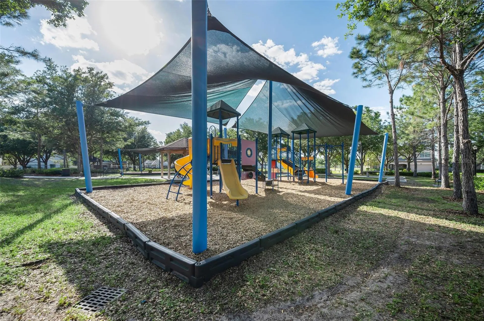 8449 Bluevine Sky Drive Land O Lakes FL 34637