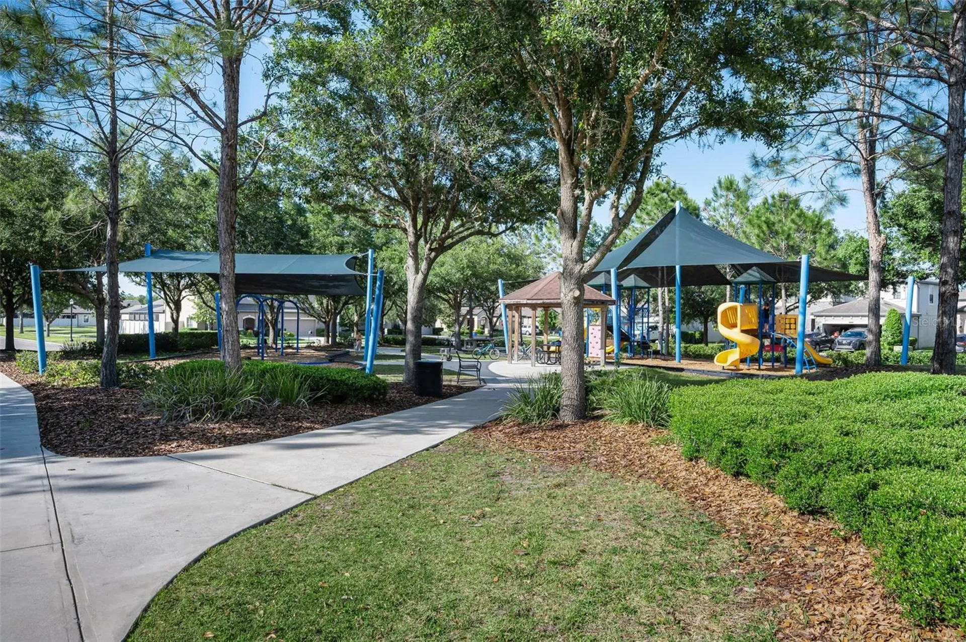 8449 Bluevine Sky Drive Land O Lakes FL 34637
