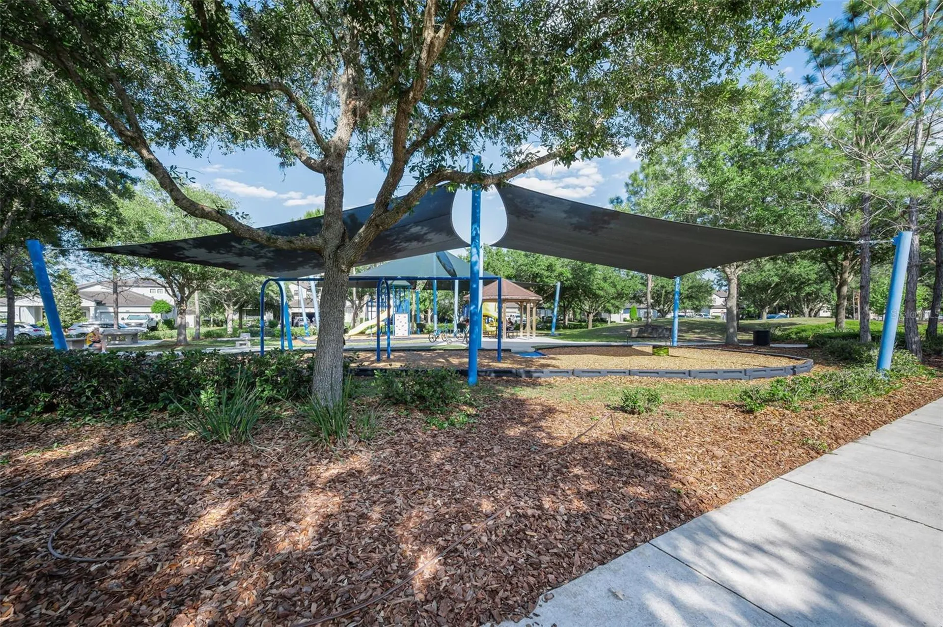 8449 Bluevine Sky Drive Land O Lakes FL 34637