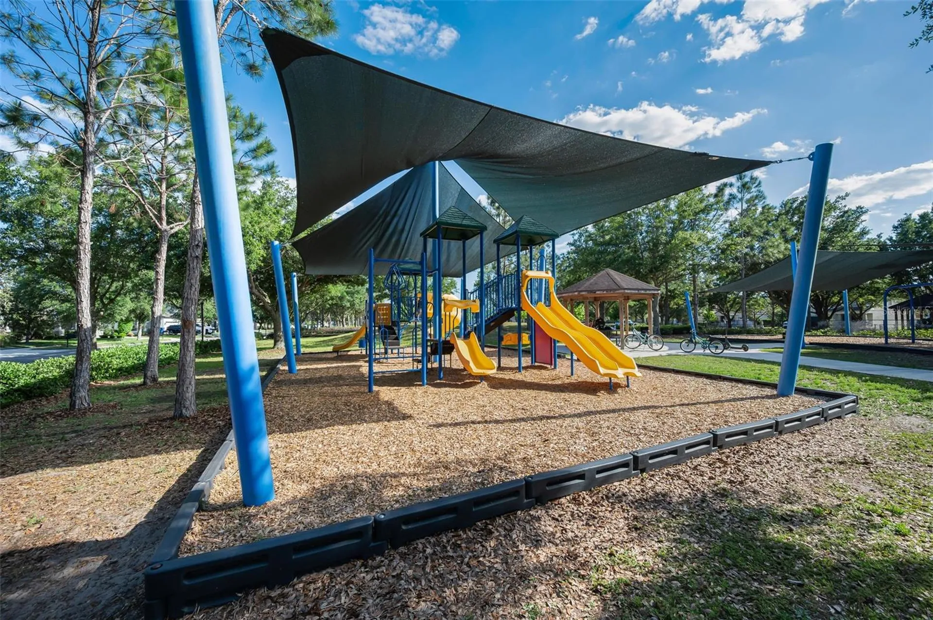 8449 Bluevine Sky Drive Land O Lakes FL 34637