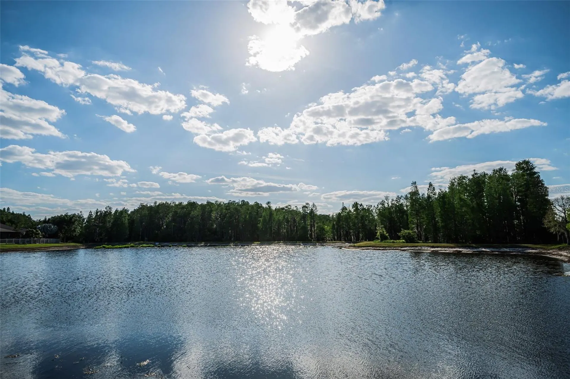 8449 Bluevine Sky Drive Land O Lakes FL 34637