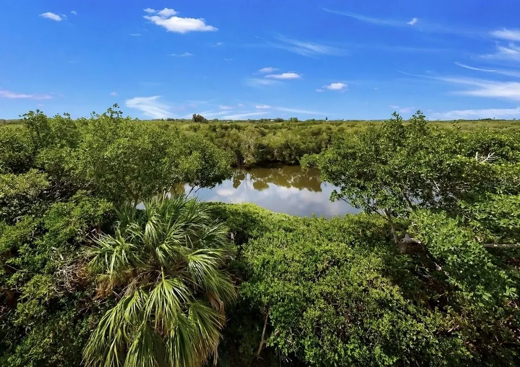 3202 Mangrove Point Drive Ruskin FL 33570
