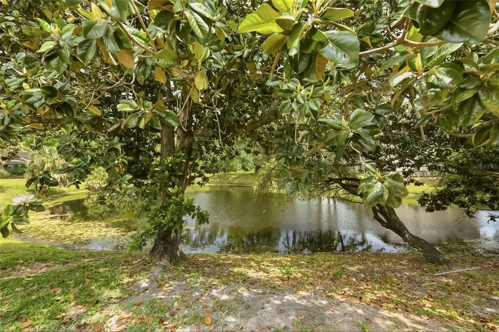 2643 Burntfork Drive Clearwater FL 33761