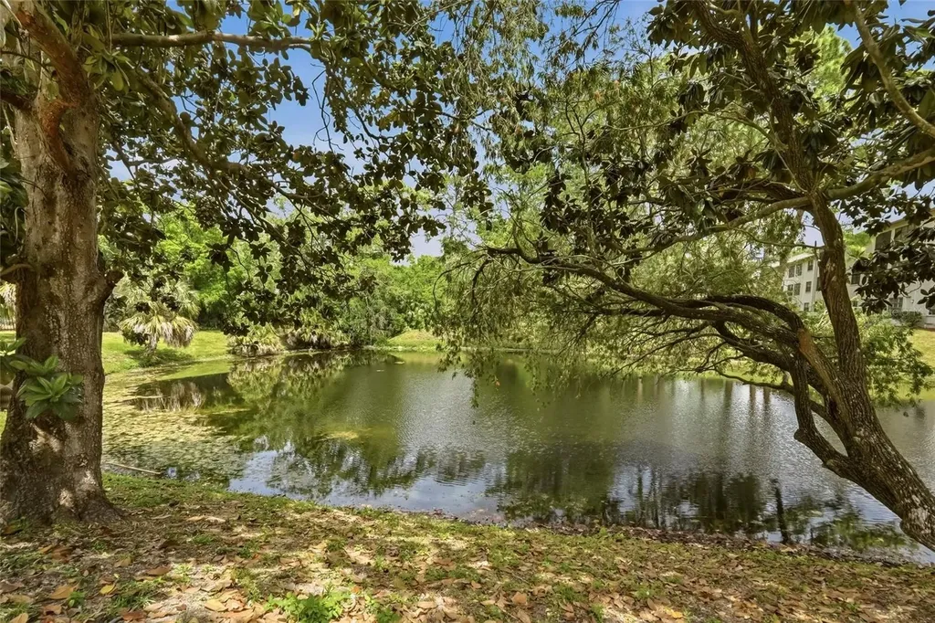 2643 Burntfork Drive Clearwater FL 33761