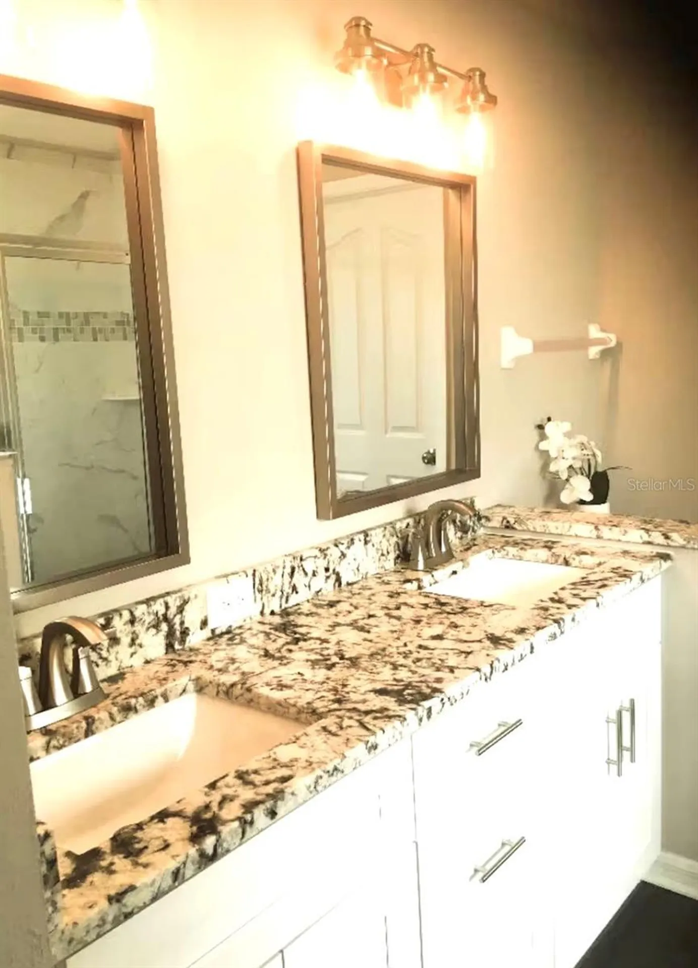 8534 Fawn Creek Drive Tampa FL 33626