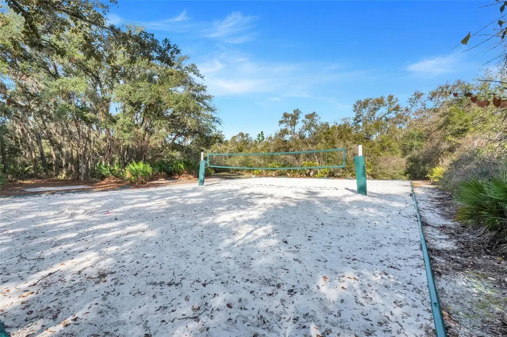 16508 Centipede Street Clermont FL 34714
