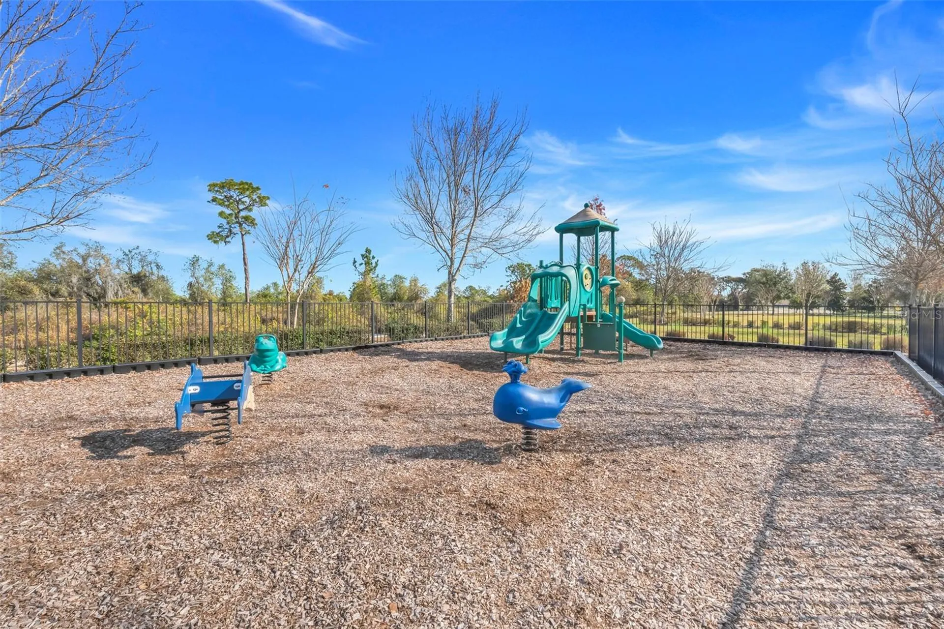 16508 Centipede Street Clermont FL 34714