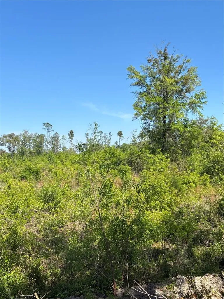 298TH Street Newberry FL 32669