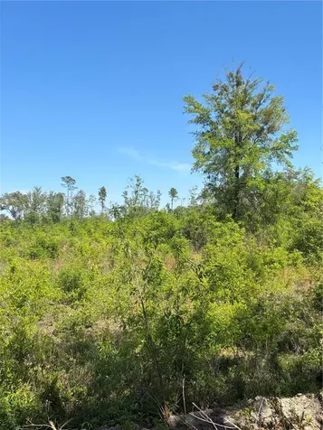 298TH Street Newberry FL 32669