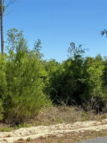 298TH Street Newberry FL 32669