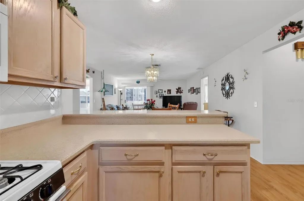 1806 Englewood Street The Villages FL 32162