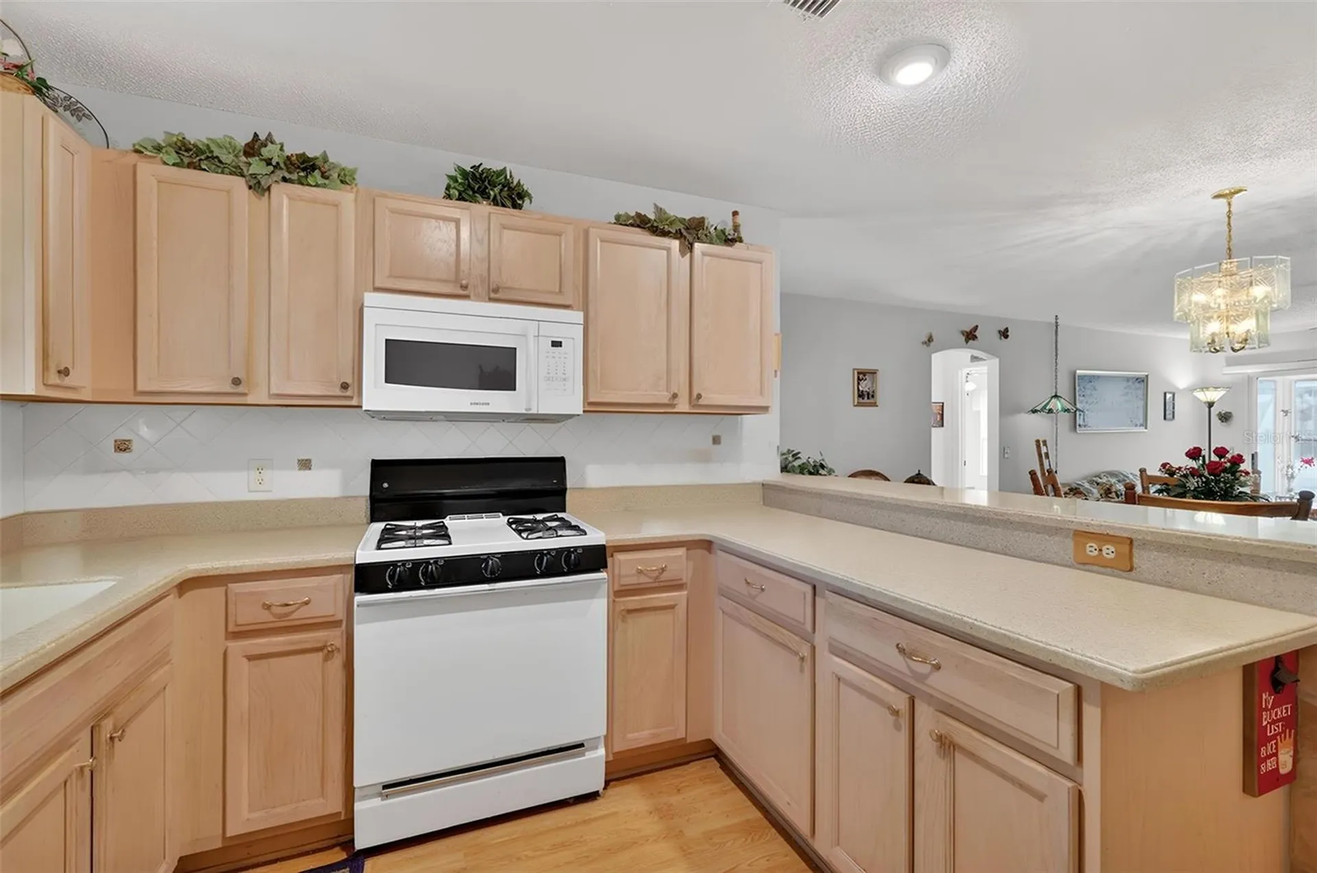 1806 Englewood Street The Villages FL 32162