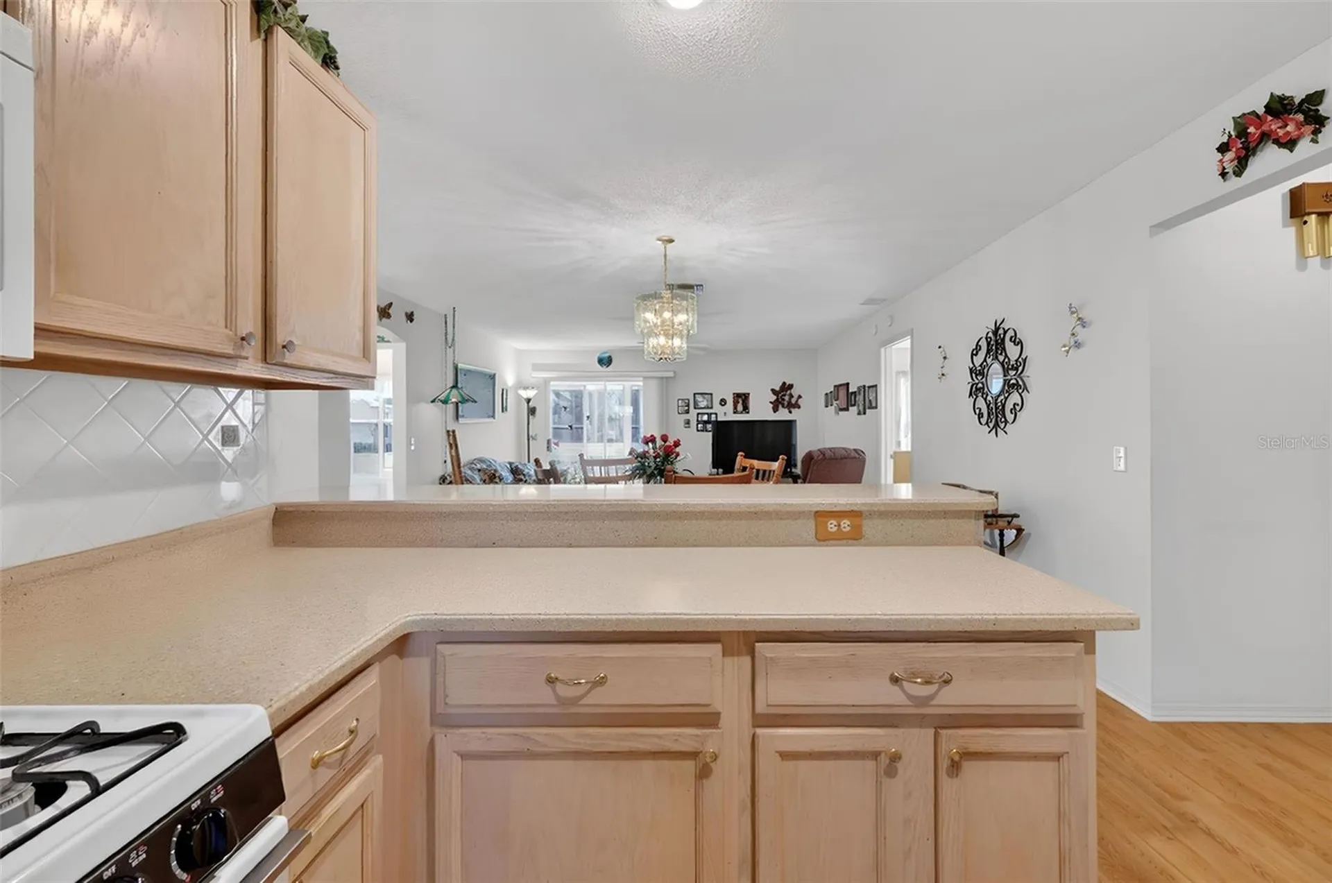 1806 Englewood Street The Villages FL 32162