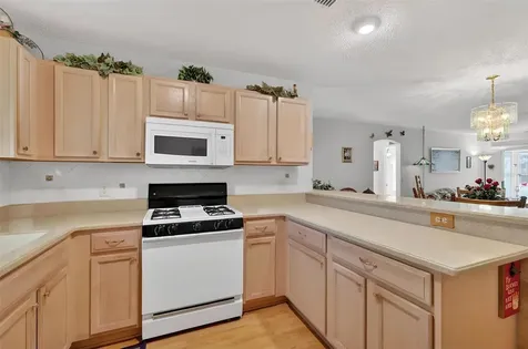 1806 Englewood Street The Villages FL 32162