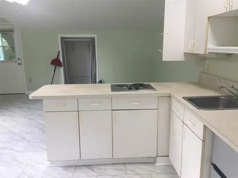 360 S Lakeview Drive Lake Helen FL 32744