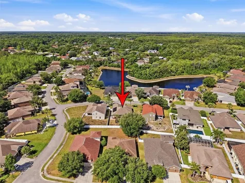 8950 Sandusky Lane New Port Richey FL 34654