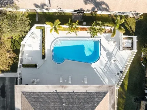 682 Green Valley Road Palm Harbor FL 34683