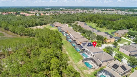 986 Orange Cosmos Boulevard Davenport FL 33837