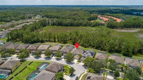 986 Orange Cosmos Boulevard Davenport FL 33837
