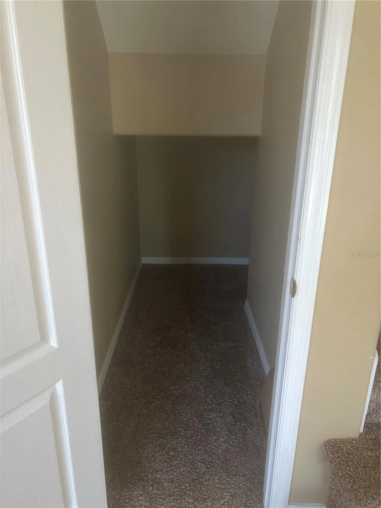 19036 Fishermans Bend Drive Lutz FL 33558