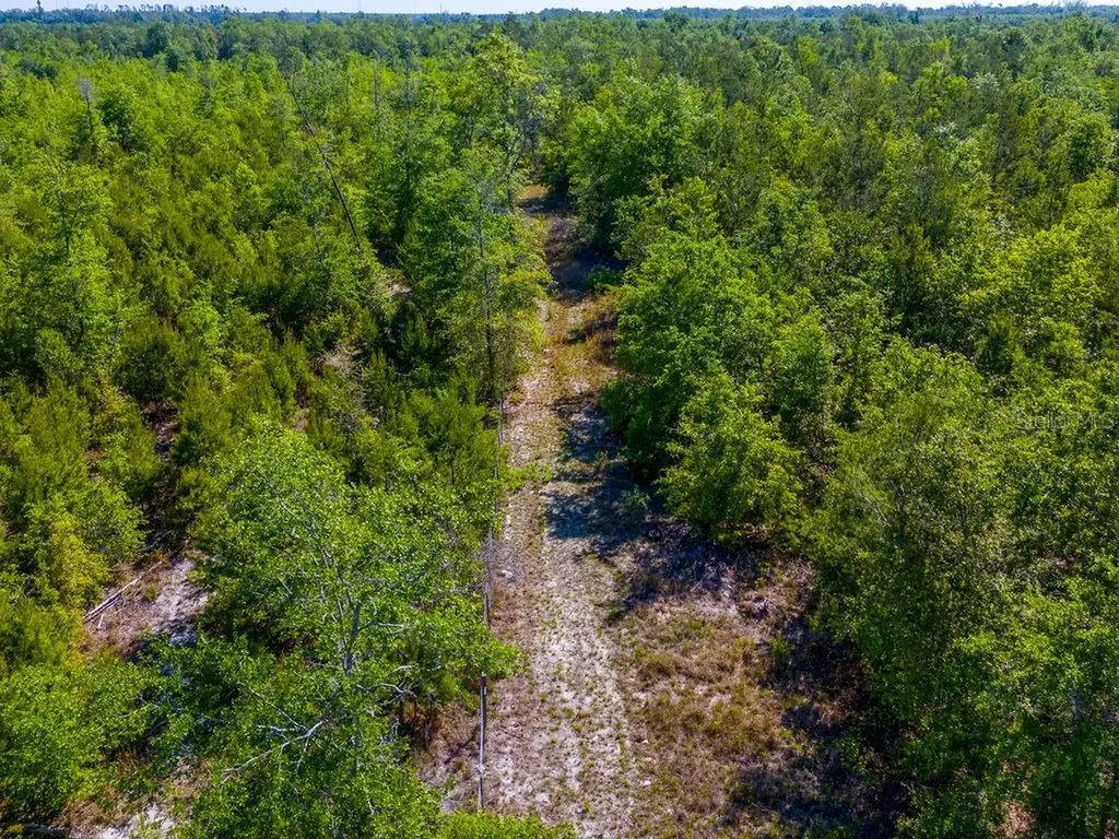 1147 SE Hammerly Street Madison FL 32340