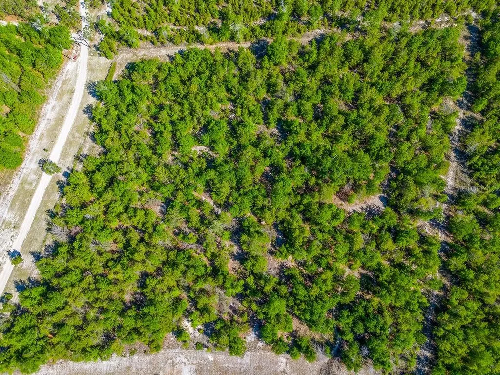 1147 SE Hammerly Street Madison FL 32340