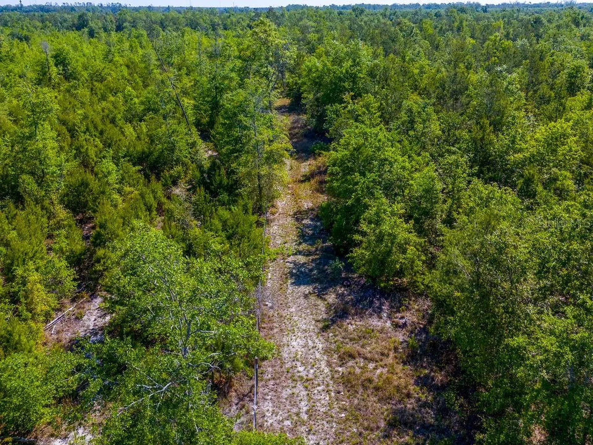 1147 SE Hammerly Street Madison FL 32340