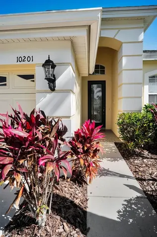 10201 Sorenstam Drive Trinity FL 34655