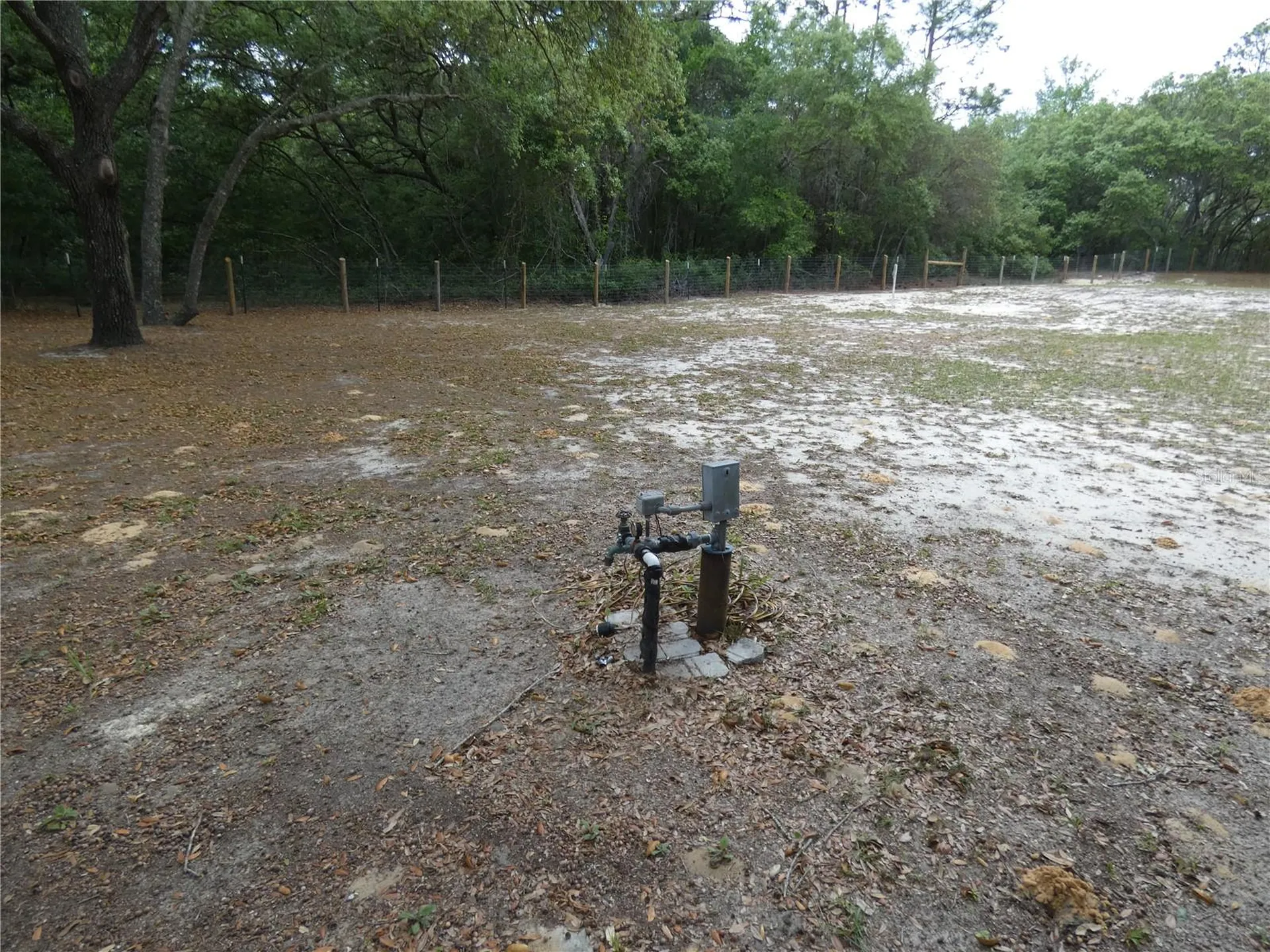 20865 SW 70th Street Dunnellon FL 34431