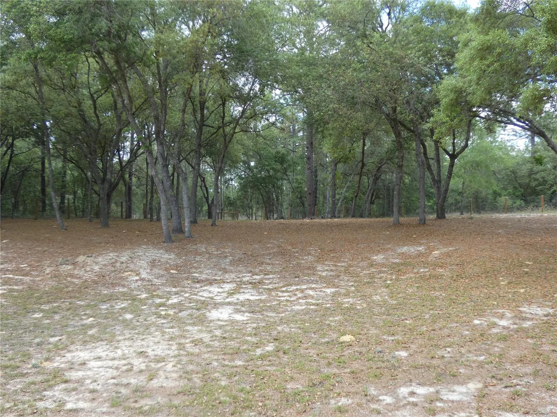 20865 SW 70th Street Dunnellon FL 34431