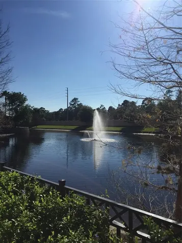 12538 Floridays Resort Drive Orlando FL 32821